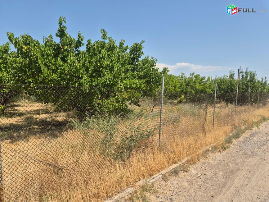 Տնամերձ Հողատարածք