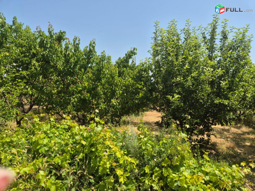 Տնամերձ Հողատարածք