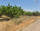 Տնամերձ Հողատարածք