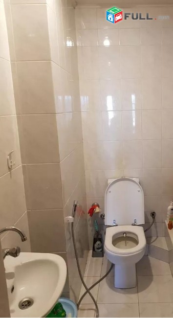Vardzov e trvum 3 senyakanoc bnakaran Davitashenum