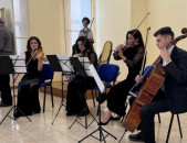 Երաժիշտ, ջութակահար միջոցառումներին, լարային քառյակ,erajisht, jutakahar mijocarumnerin, kvartet 