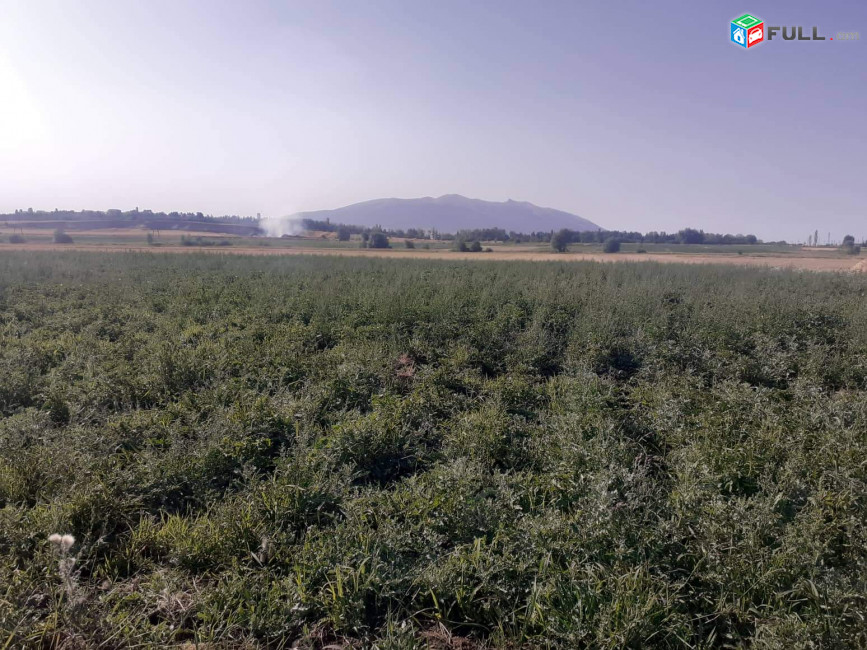 Գյուղատնտեսական հողատարածք