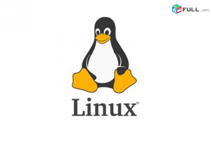 Hamakargichneri format համակարգիչների ֆորմատ Windows-ի և Linux-ի տեղադրում