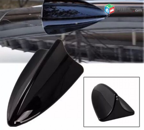 Shark plavnik Antena samakleyushi (տարբեր գույների) akula antena
