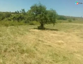 H0410 Հողատարածք Բյուրականում