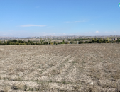 H0834 Հողատարածք Ոսկեվազում