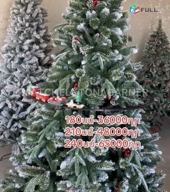 Տոնածառ կոներով,180-240սմ,եղևնի ,tonacar