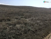 Հողատարածք Ձորաղբյուրում 4350 ք/մ. SKH540