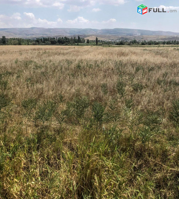 Հողատարածք Ակունքում 1230ք. SKH818