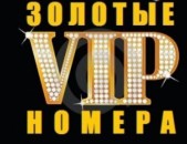 GOLD VIVACELL 077850300 077085580 096086806