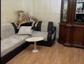 LA05980 Վարձով 2 սենյականոց բնակարան Խաղաղ Դոնի փողոց