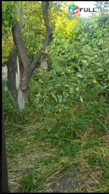 LA09217 Վարձով 3 սենյականոց տուն Քանաքեռ 9 -րդ փողոցում