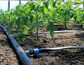 Կաթիլային շլանգ 30սմ 8միլ / շելավո / լենտա / ջերմոց / այգի / հողամաս / թութունի / ձմերուկի ոռոգում /капельные системы /капельная лента /ջերմոց / կաթիլաին