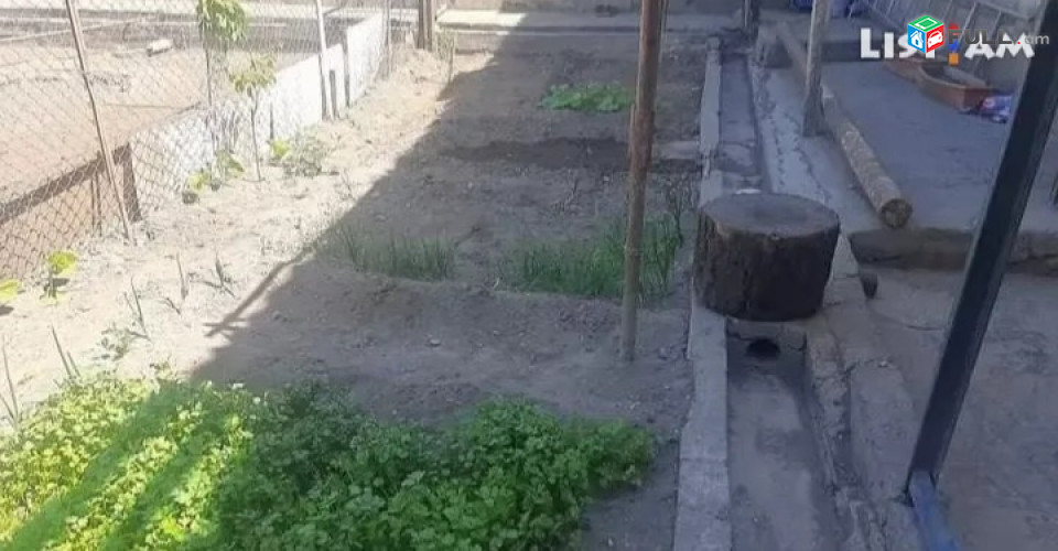 Շտապ 