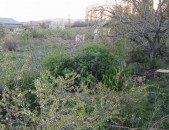 Հողատարածք Արմավիրի մարզի գ. Լեռնամերձ