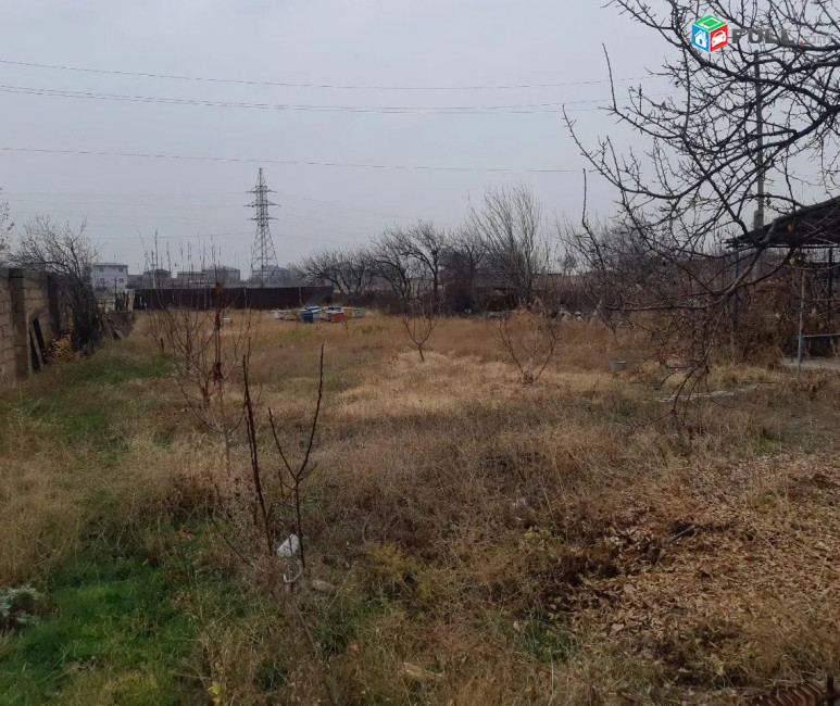 կօդ  8290/ Զովունի / Նատի
