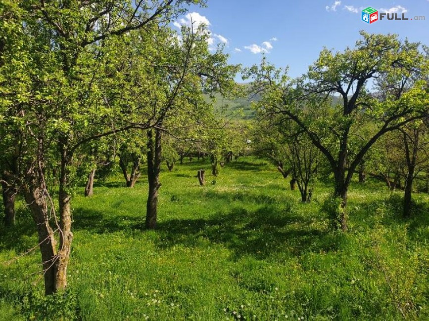 Ստեփանավան Գյուլագարակ հյուրատուն 