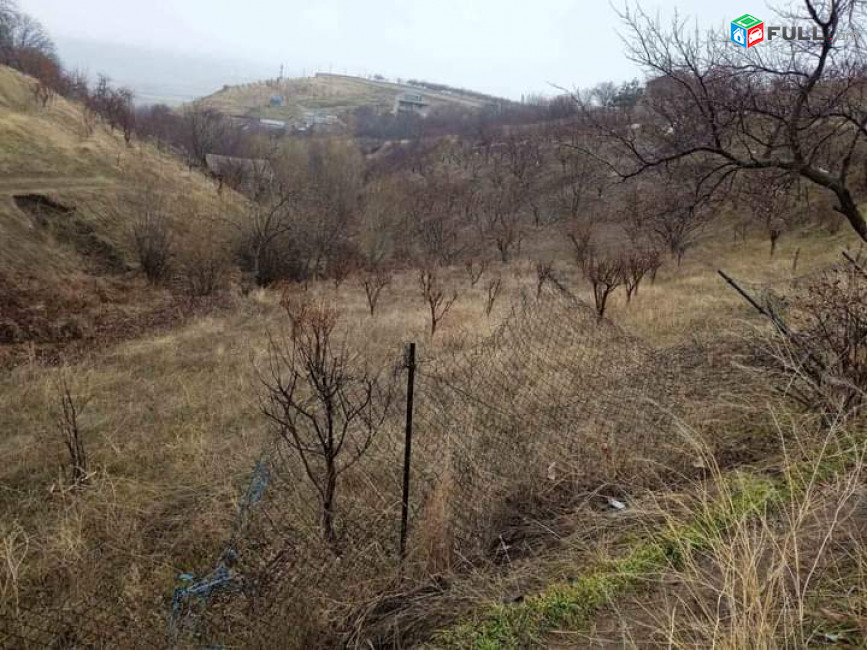 Տնամերձ 