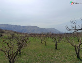 Հողատարածք Գառնիում, ընտիր տեղ