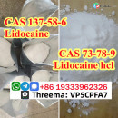 emily Lidocaine 